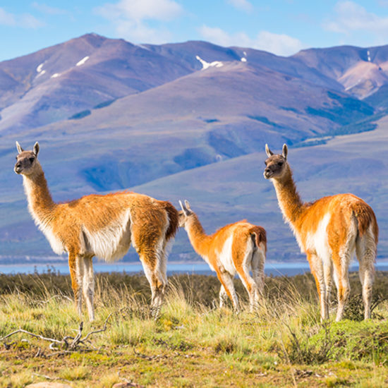 Chinchero, Maras, Moray, Salineras, Sacred Valley, Cusco, Peru, atv, maras moray, puno, lima, paracas, nazca, inka jungle