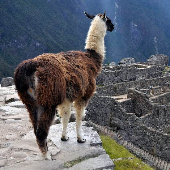 Chinchero, Maras, Moray, Salineras, Sacred Valley, Cusco, Peru, atv, maras moray, puno, lima, paracas, nazca, inka jungle
